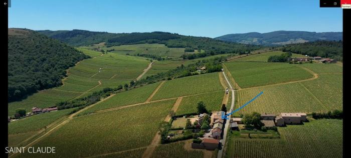 Le Tinailler Gite dexception au coeur des Vignes- Deux suites parentales - Amazing place