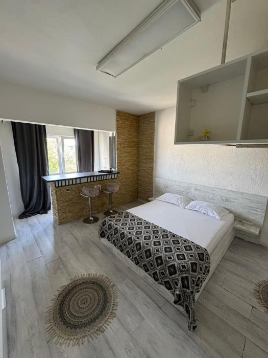 Leyla Studio Ultracentral Pitesti