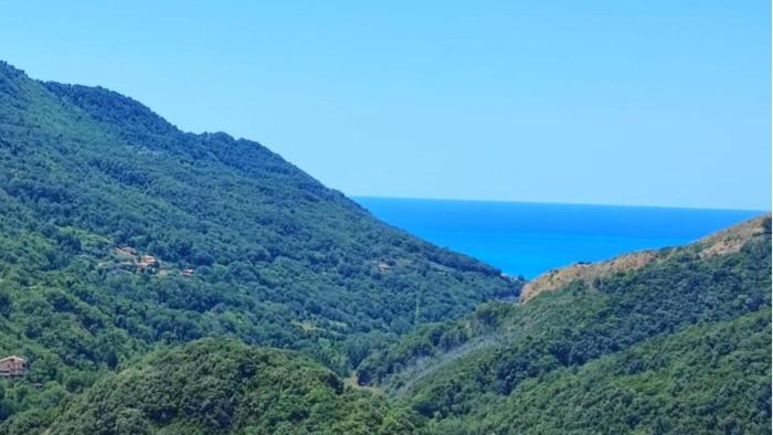 Lumira Vista Panorama