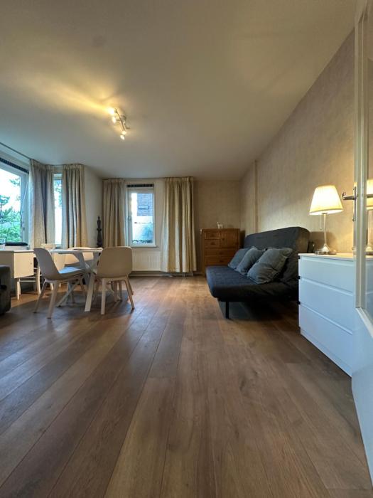 Apartment in the city centre