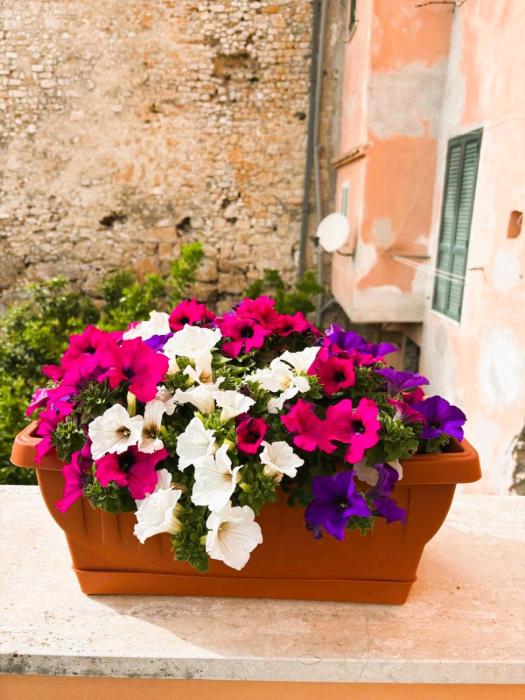 Casa solare al mare