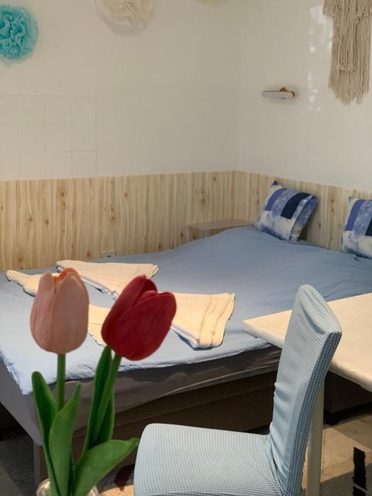 Pihenő Apartman Gyula