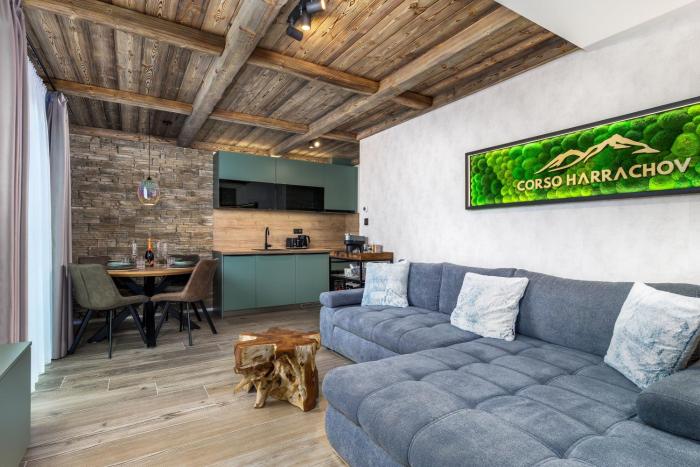 Mountain Apartment No 209-CORSO Harrachov, High Speed WI-FI, Ambilight smart TV, Netflix, YouTube, FREE parking, private SEJF, PRIVATE bike storage, HARRACHOVCARD