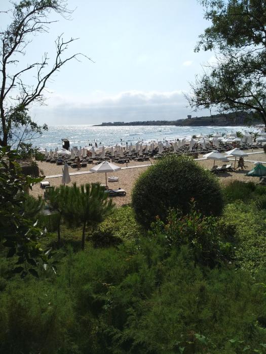 Oasis Resort & Spa with 1 bedr 5-1-Б