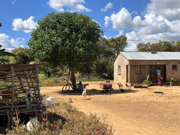 Moms Farm Stay Authentic Zambian Village Experience