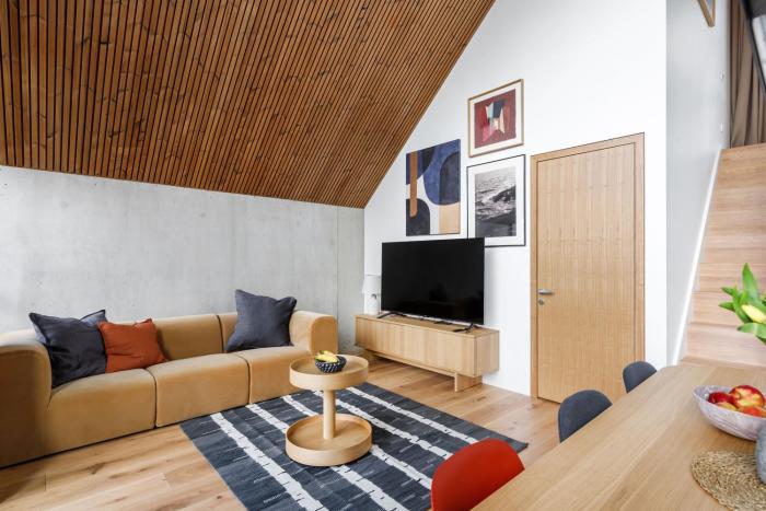 Exclusive Designer Apartment in Paupys