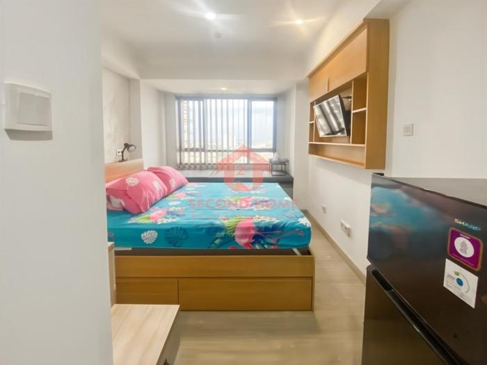 Cozy Studio Collins Apt Alsut Pool & Gym