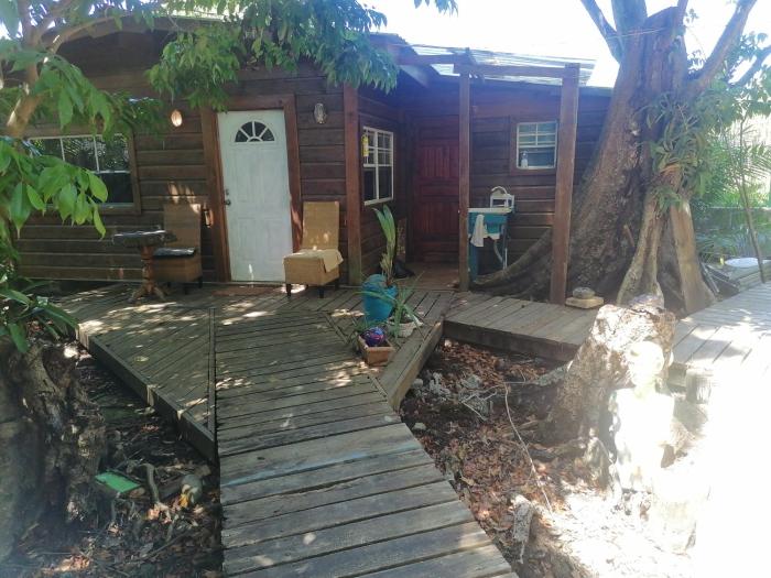 Cabaña-estudio selvatica