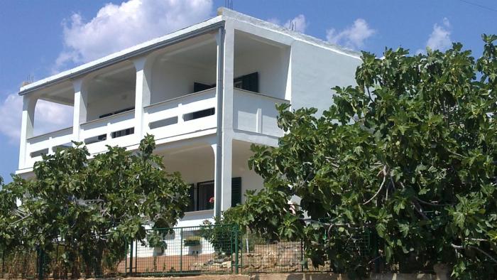 Apartments Oliva