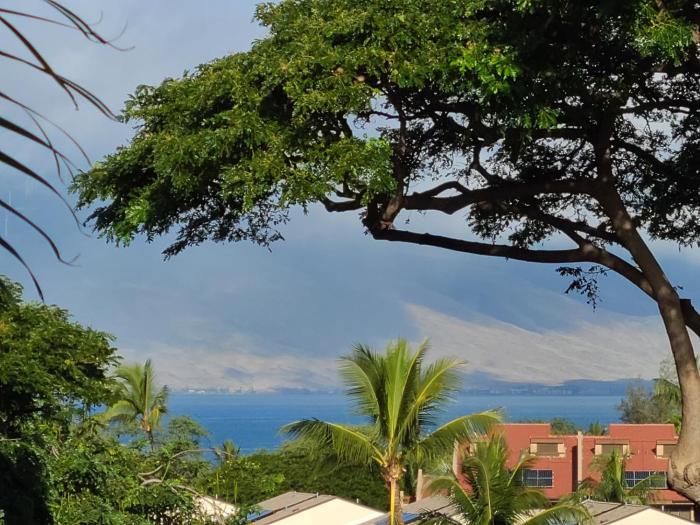Maui Kamaole #I-114 Renovated and Upgraded, Full AC, Across from the beach
