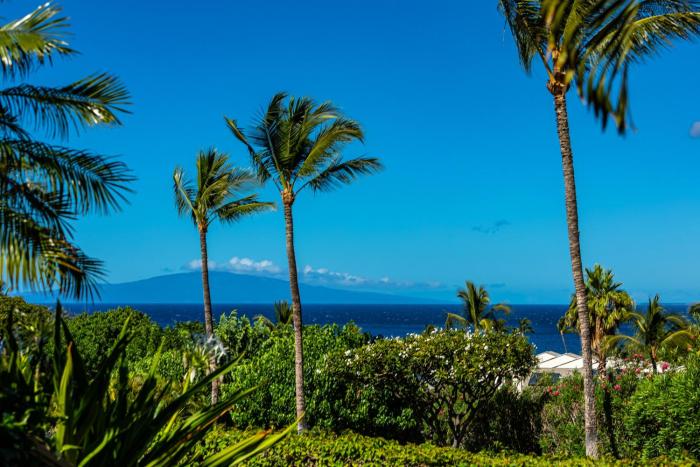 Maui Kamaole #J-120 Oceanview. Grd Flr Unit Near Kamaole III Beach, Full AC