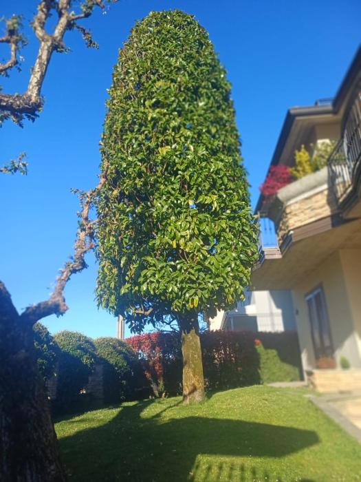 Casa Magnolia - apartment