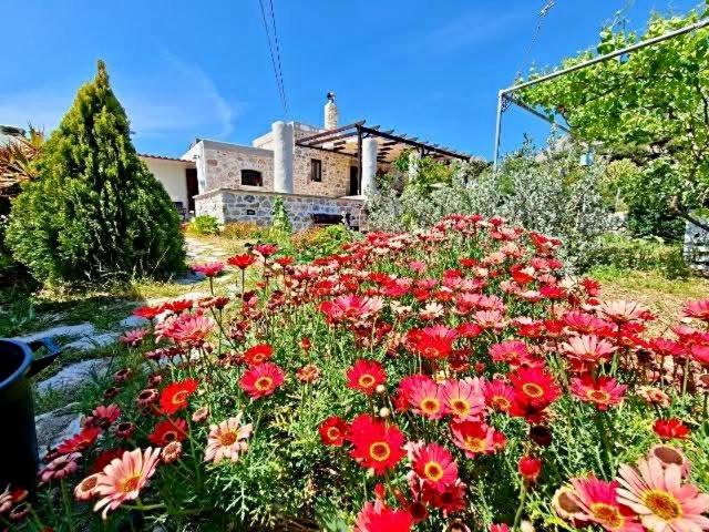 Sevis Traditional House