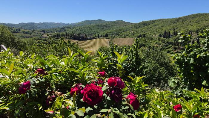 Un piccolo Paradiso nel Chianti più selvaggio