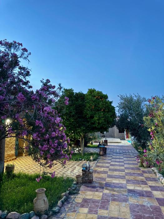 Gite d étape Khettara Oasis