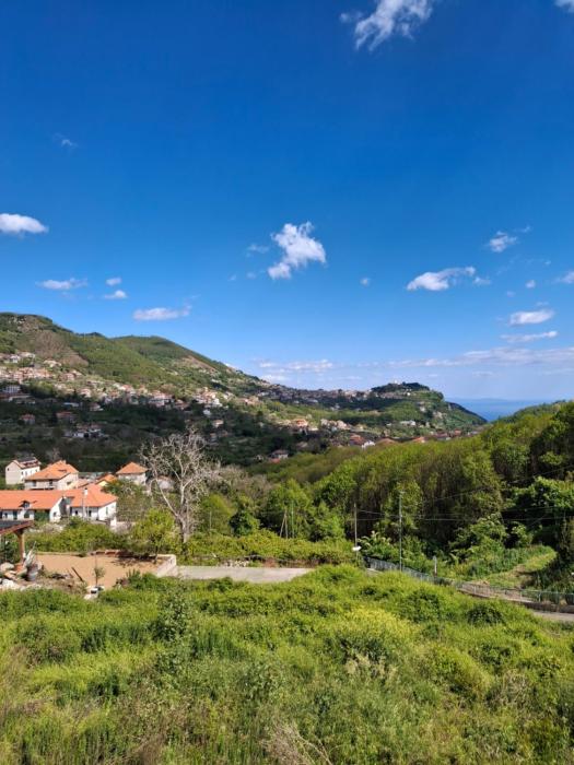 Al Geranio Accommodation