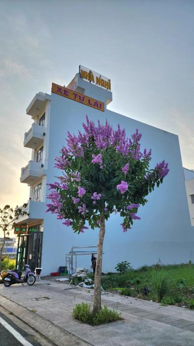 Nhà nghỉ Thanh Thư 2