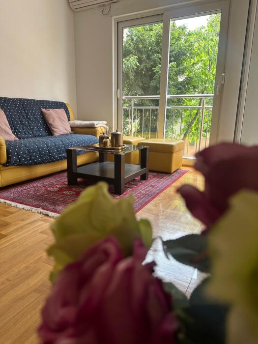 Mercury Apartments Budva
