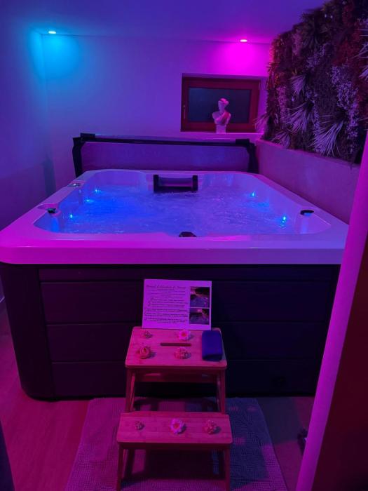 Studio Indépendant - FORMULE Jacuzzi massant et privatisé - Proche du parc le PAL et de VICHY - allier 03