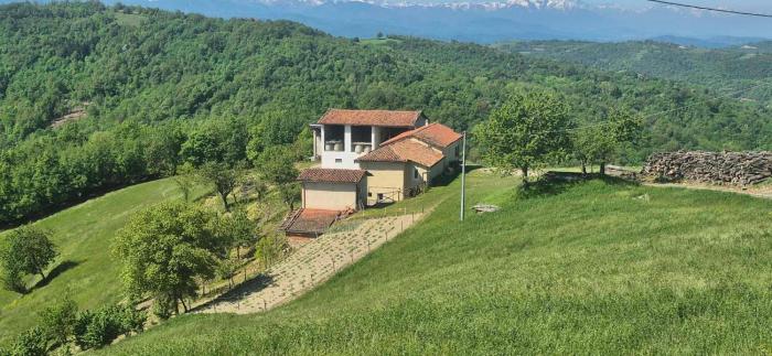 La Paulotta