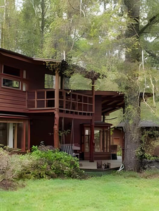 Dream Home Amid Native Trees