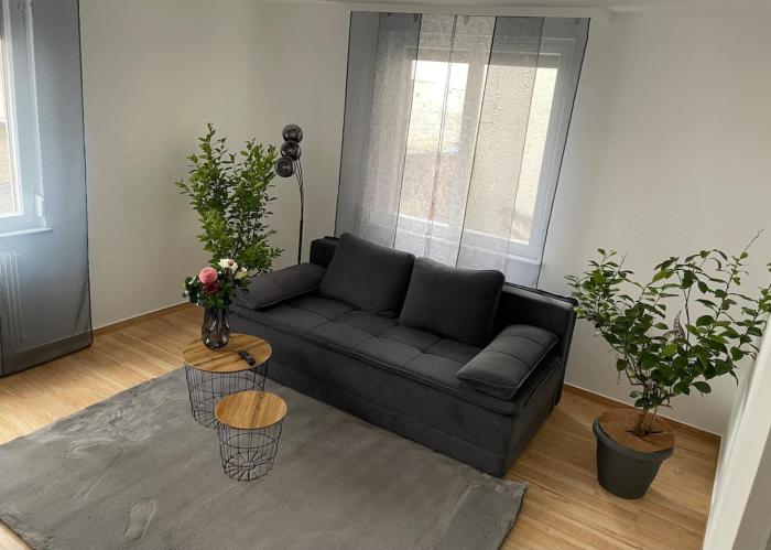 Apartment Hornberg- Zara