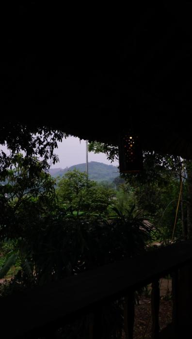 Ruộng coffee and homestay