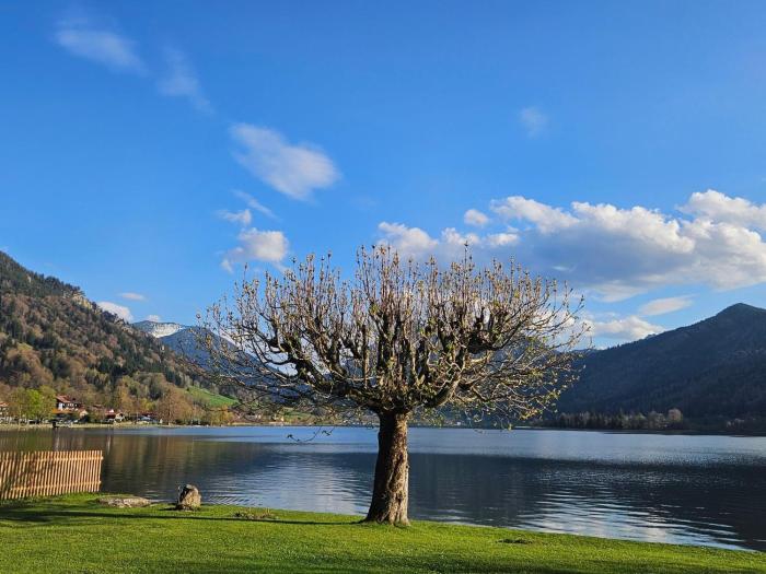 Ferienwohnungen am See _ Hinterseer