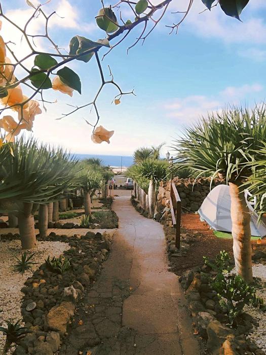 Agrocamping Invernaderito