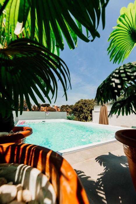 Unique Villa Scandinavia Marbella