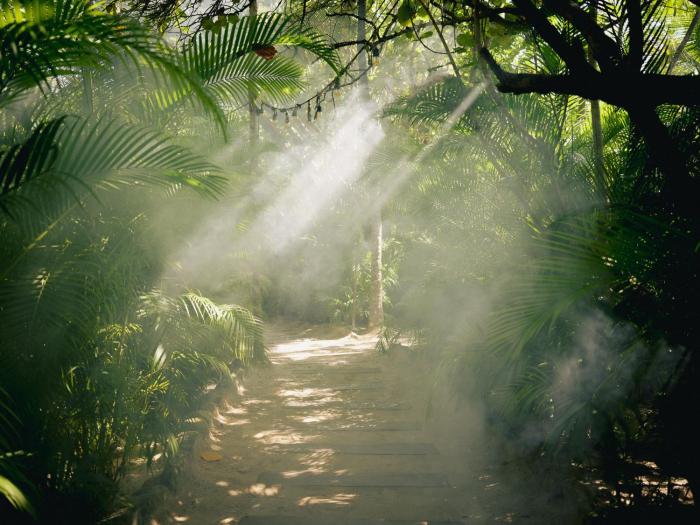 Nômade Temple Tulum