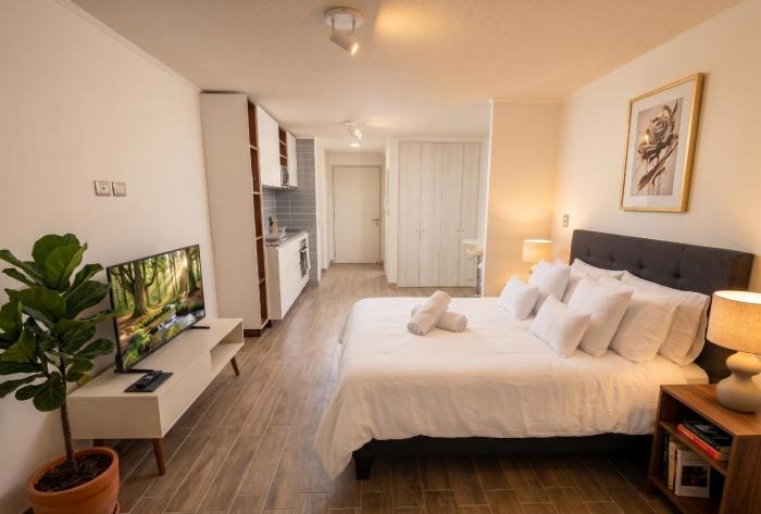 Studio cercano a Movistar Arena y Parque Ohiggins