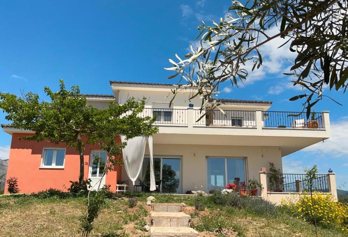 Horizon House, with Olive Grove and a small Vineyard