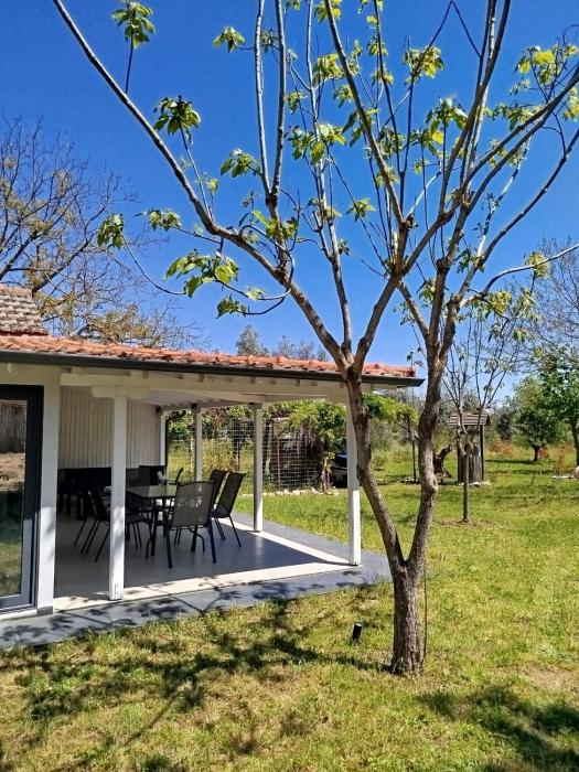 OliveGrove
