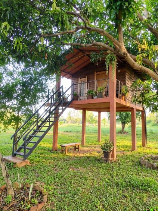 Tree House Cabana Sigiriya