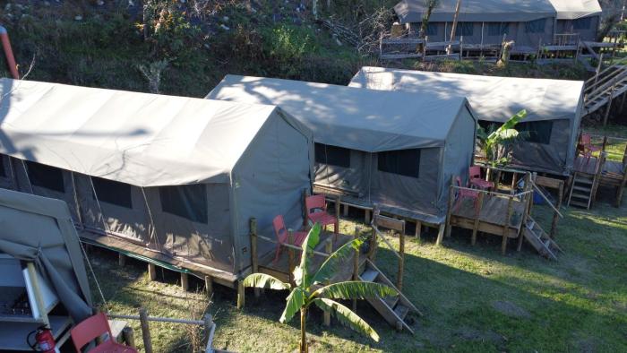 Safari Glamping Portugal Penguin