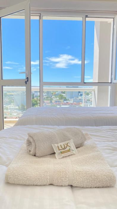 Apolo Suite