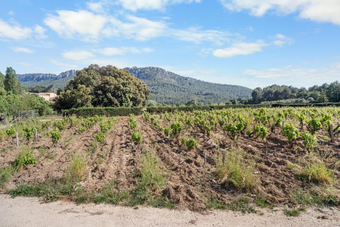 Appartement calme au cœur des vignes