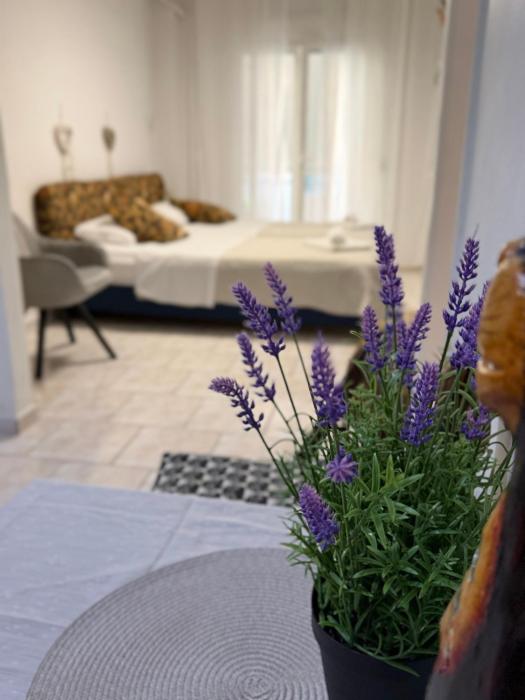 Quiet Haven in Athens - Rest, Recharge & Netflix