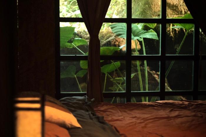 Bluebird chill homestay with Bamboo and Stream