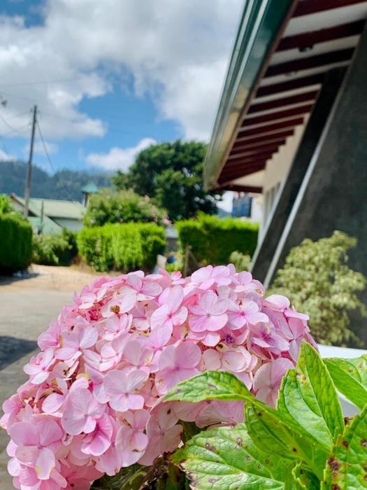JETCO Lake Front Villa - Nuwara Eliya