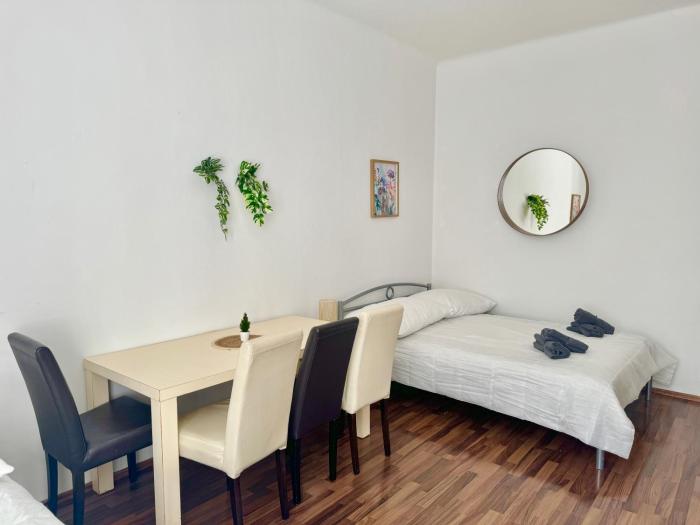 Central Long-Term Apartment near First District
