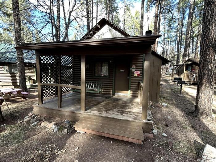 Pet Friendly Studio Cabin with Kitchenette and BBQ, Perfect for a Weekend in the Forest of Christopher Creek