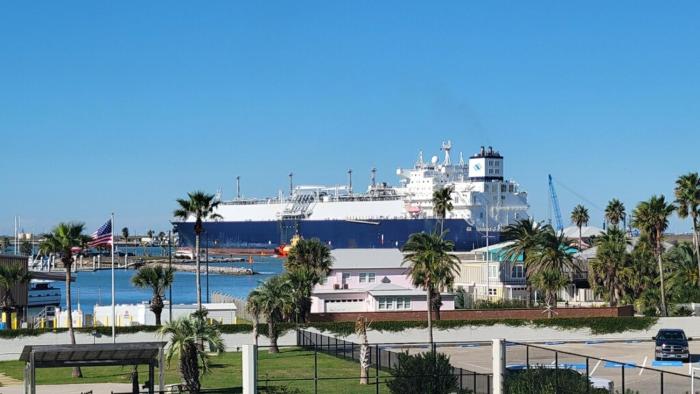 Bay Tree A2