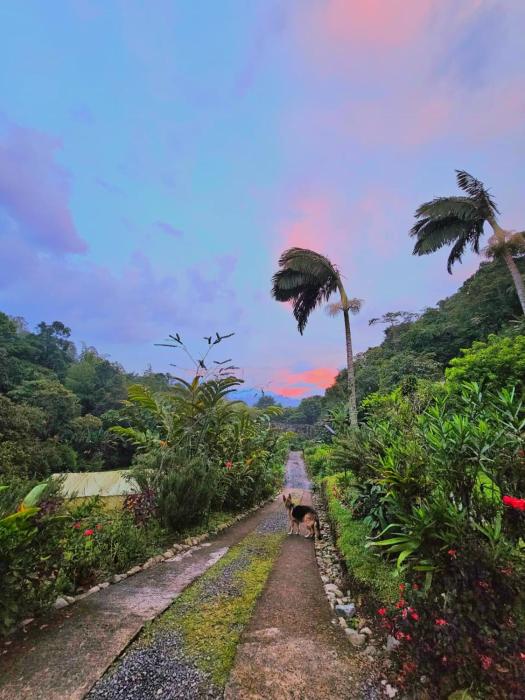 EcoLodge La Pluma