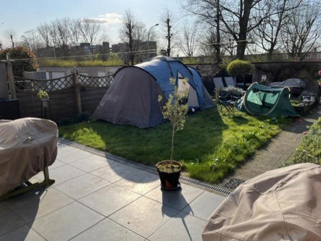 Blue tent 2 tot 4 personen, 1km van tomorrowland