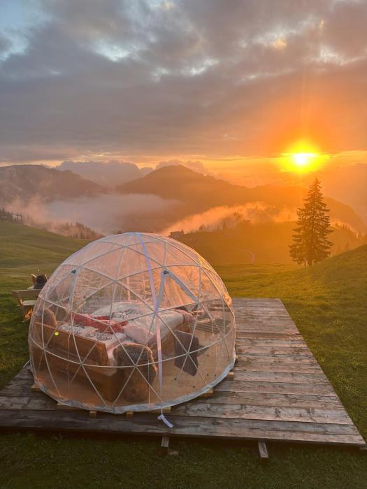 Panorama-Bubble Klewenalp