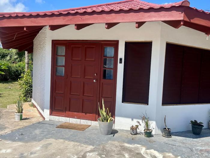 Luxury Oasis Villa