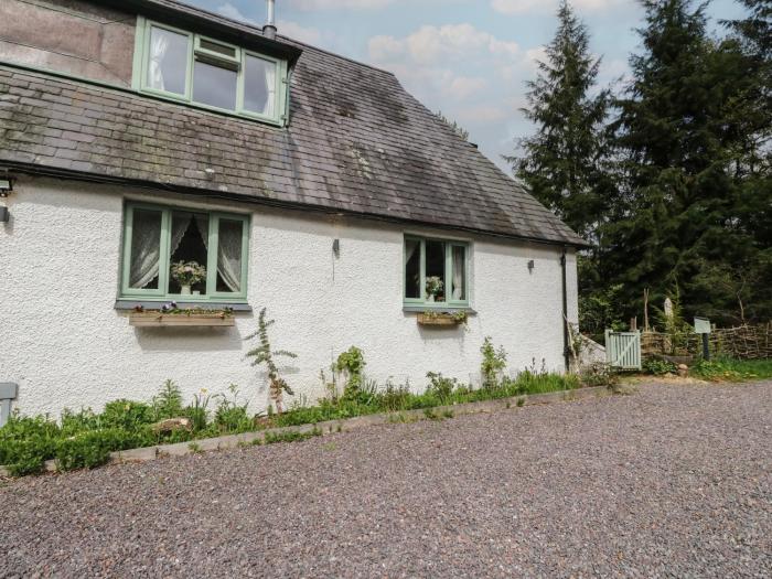 The Cottage In The Woods