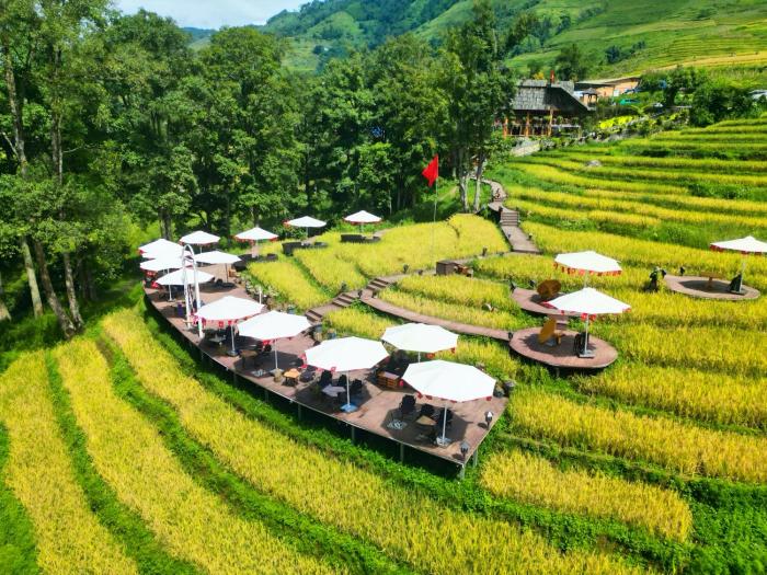 MT Homestay Terraced Fields - Sa Pa Trekking Tour Tả Van